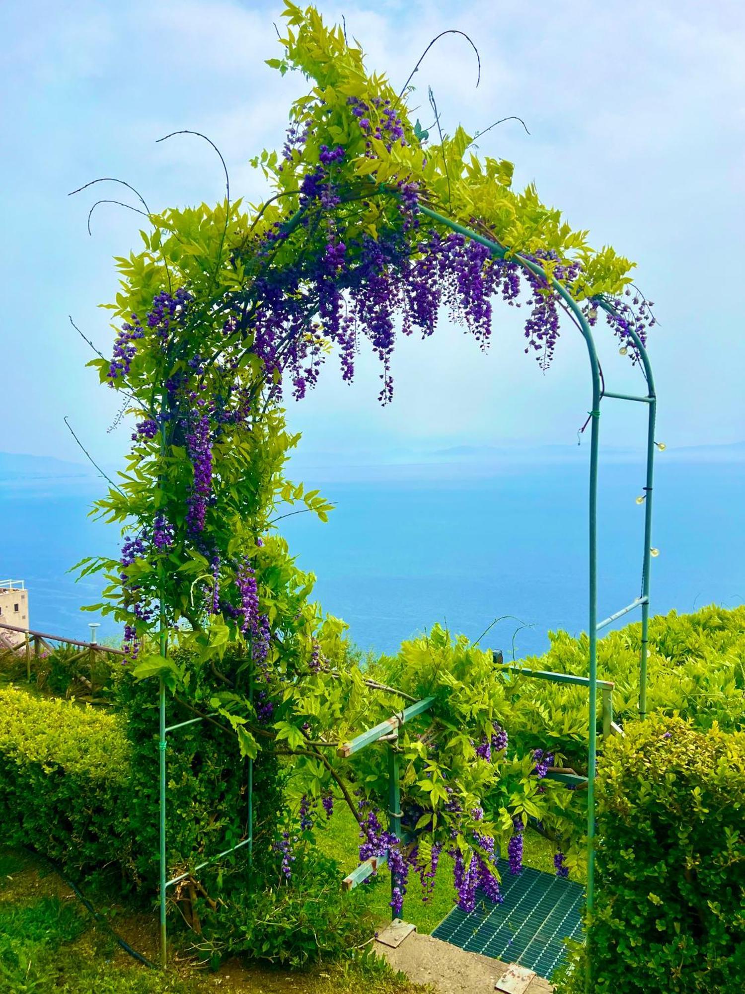 B&B Il Pavone Конка-дей-Марини Экстерьер фото